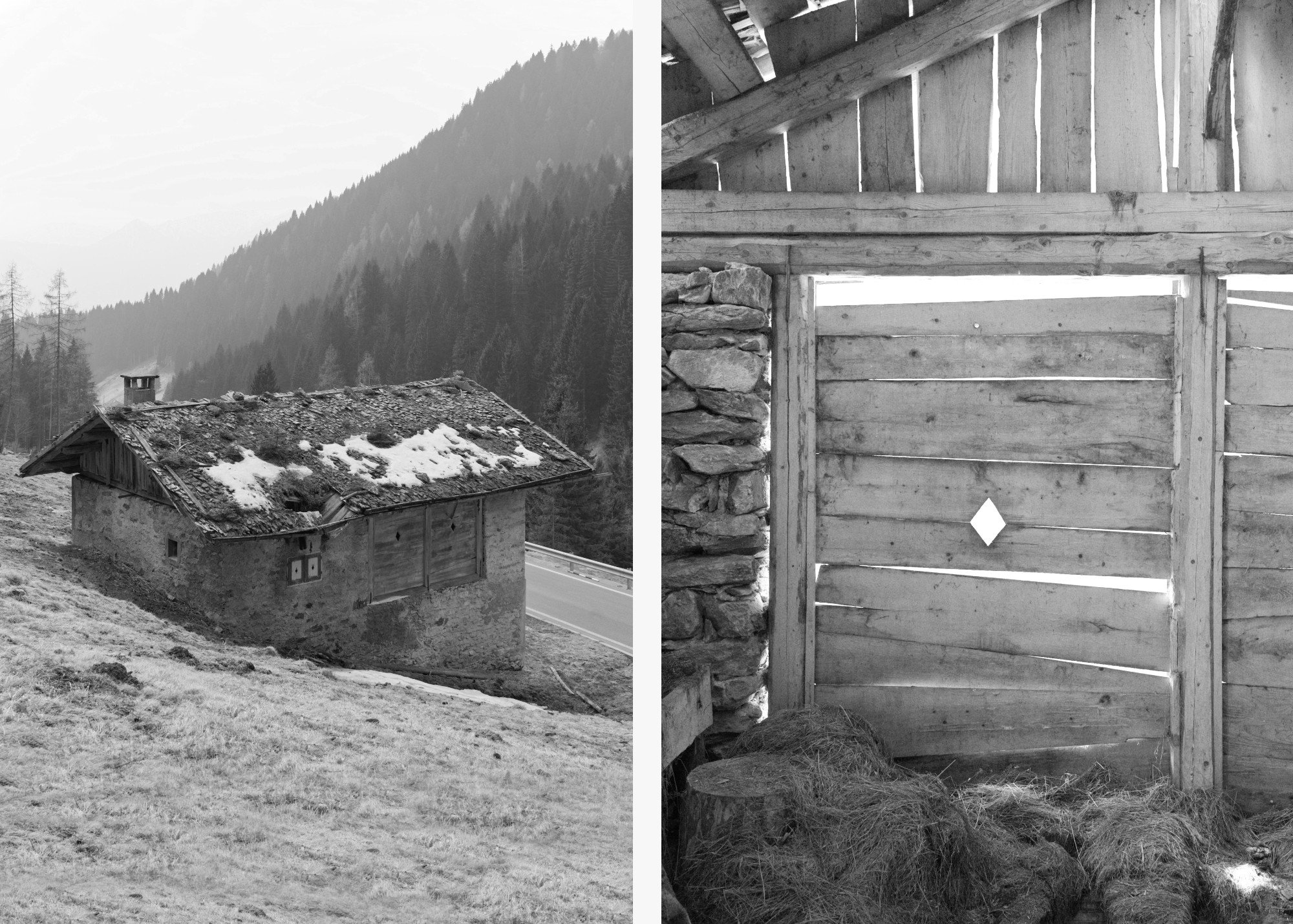 Spjedhof_Recupero Baita_Trentino_Mimeus Architettura_e